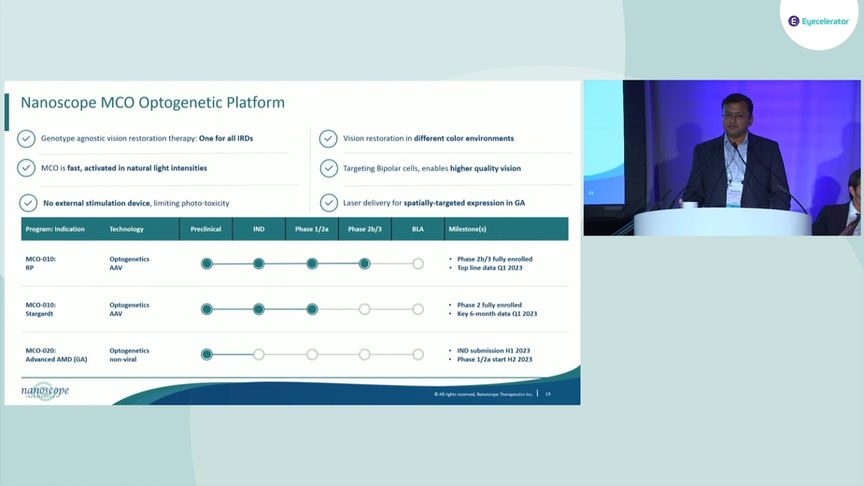 AAO22-Retina-NanoScope